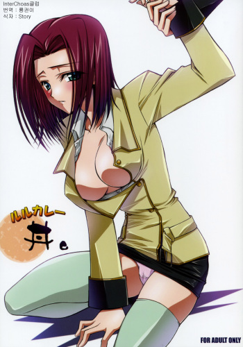 [Yasyokutei (Akazaki Yasuma)] Lelou Curry-don. (Code Geass: Lelouch of the Rebellion) [Korean] cover
