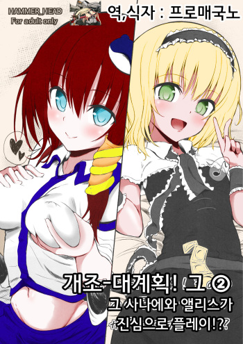 (SC58) [HAMMER_HEAD (Makabe Gorou)] Kaijou Gentei Bon! Sono 2 - Ano Sanae to Alice no Gachi Ero Play!? (Touhou Project) [Korean] cover