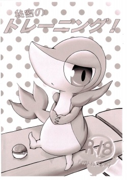 Himitsu no Training!