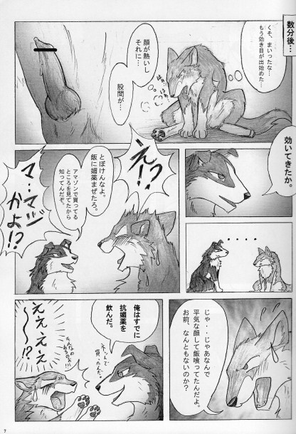 KTQ 15/2 page 8 full