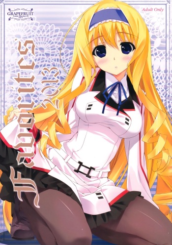 (C85) [GRAPEFRUIT (Shintarou)] Favorites 2013 (Infinite Stratos) cover
