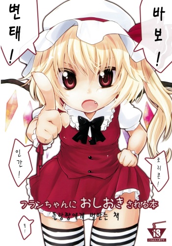 (Reitaisai 8) [MeltdoWN COmet (Yukiu Con)] Flan-chan ni Oshioki sareru Hon (Touhou Project) (korean) cover