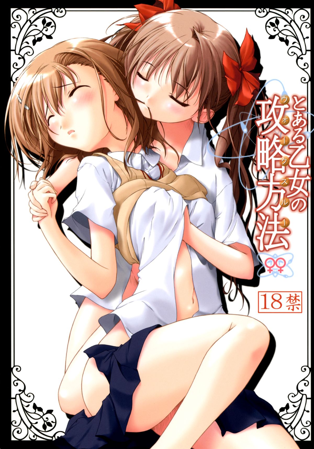 Toaru Otome no Kouryaku Houhou | A Certain Maiden's Walkthrough page 1 full