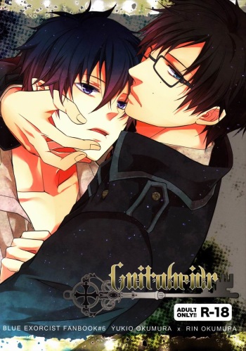 (C81) [FIZZCODE (Satonishi)] Gnitaheidr (Ao no Exorcist) cover