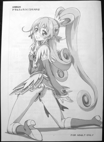 (C84) [Kaishaku] Dokincho KAISHAKU (Dokidoki! Precure) (photo) cover
