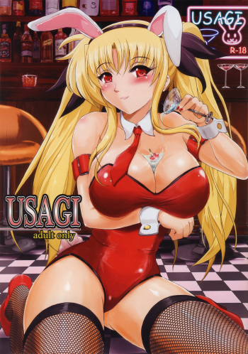 [Shouchuu MAC (Hozumi Kenji)] USAGI (Mahou Shoujo Lyrical Nanoha) [English] [Tigoris Translates] cover