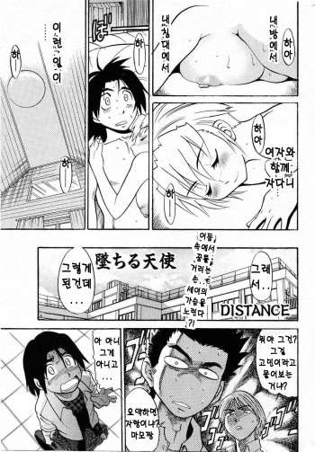 [DISTANCE] Ochiru Tenshi Chap.22 (korean) cover