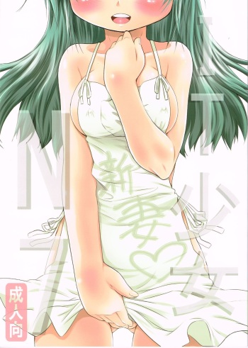 (COMIC1☆6) [FESTA. (Yoshitani Ganjitsu)] IT Shoujo N7 (Hidamari Sketch) cover