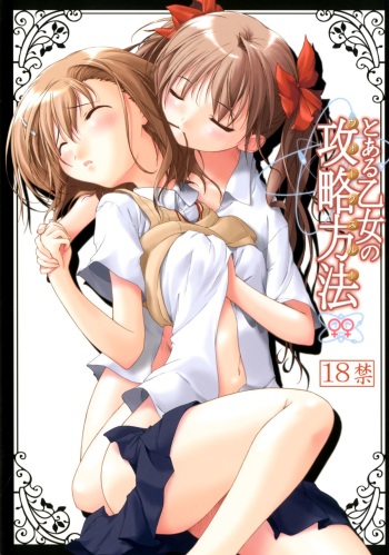 [Alchemist works (Mamamiya, MA24)] Toaru Otome no Kouryaku Houhou (Toaru Kagaku no Railgun) [Digital] cover