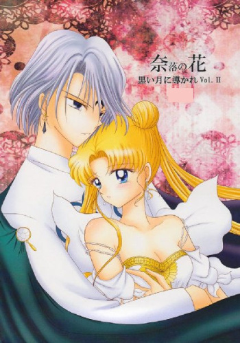 [Sailor Moon] Kuroi Tsuki ni Michibikare Vol.2+3 (sample & cover ONLY) cover