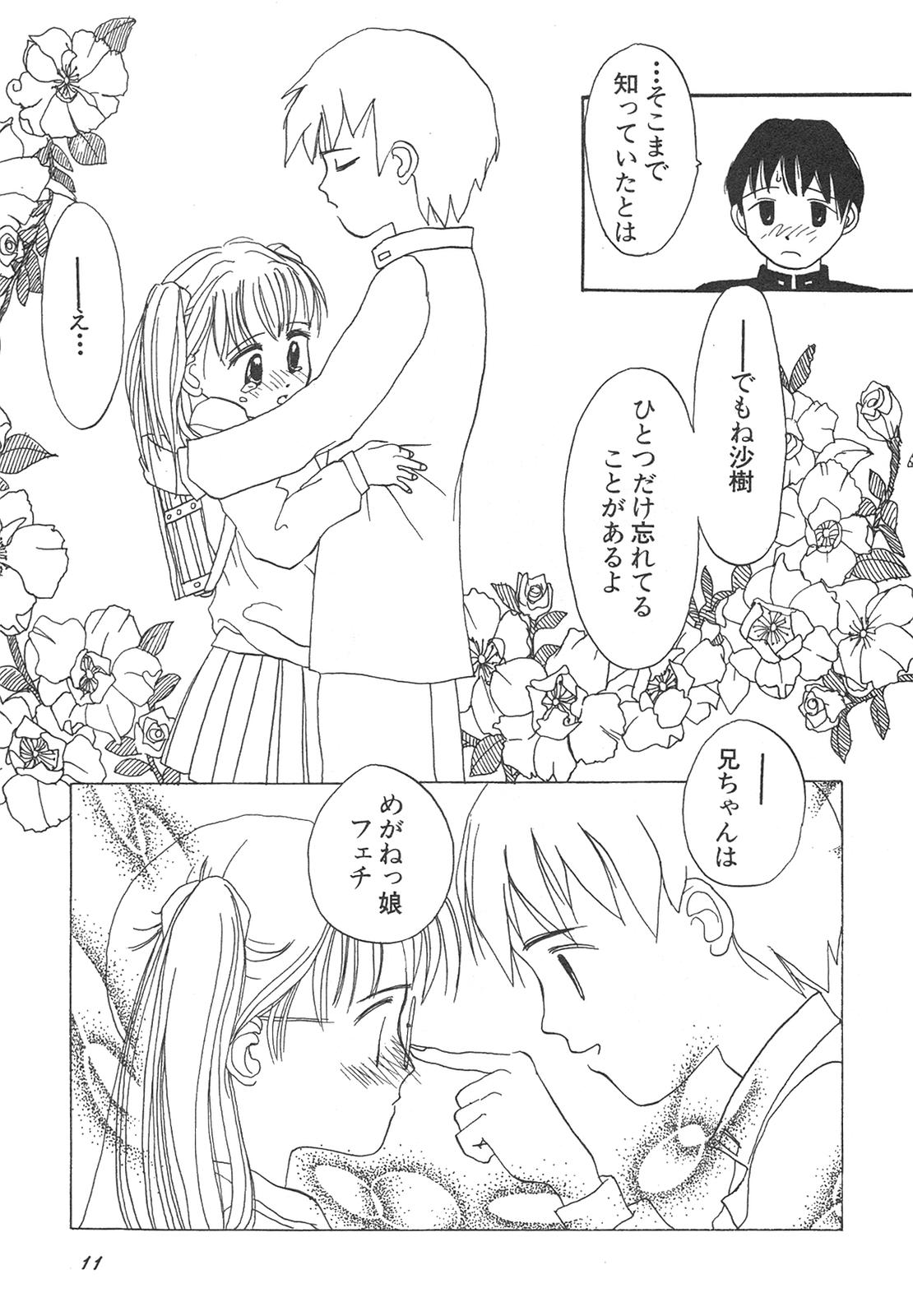Shin Bishoujo Shoukougun 4 Houou hen page 12 full