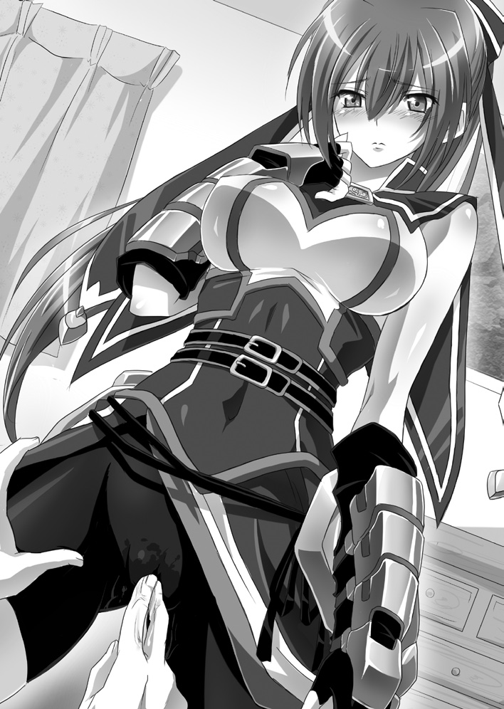 Harem Mercenary page 11 full