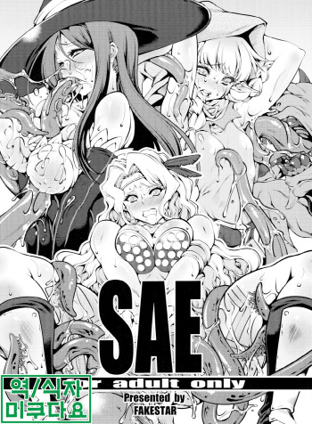 [FAKE STAR (Miharu)] Sae (Dragon's Crown) [Korean] [미쿠다요] cover