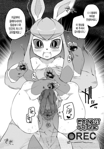 [Mizone] Pokemon Daisuki Club Kaiin Gentei Douga (Pokémon) [Korean] [N&GT] cover