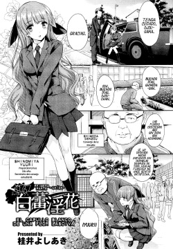 Hakurai Inka | El capullo blanco de una flor lasciva