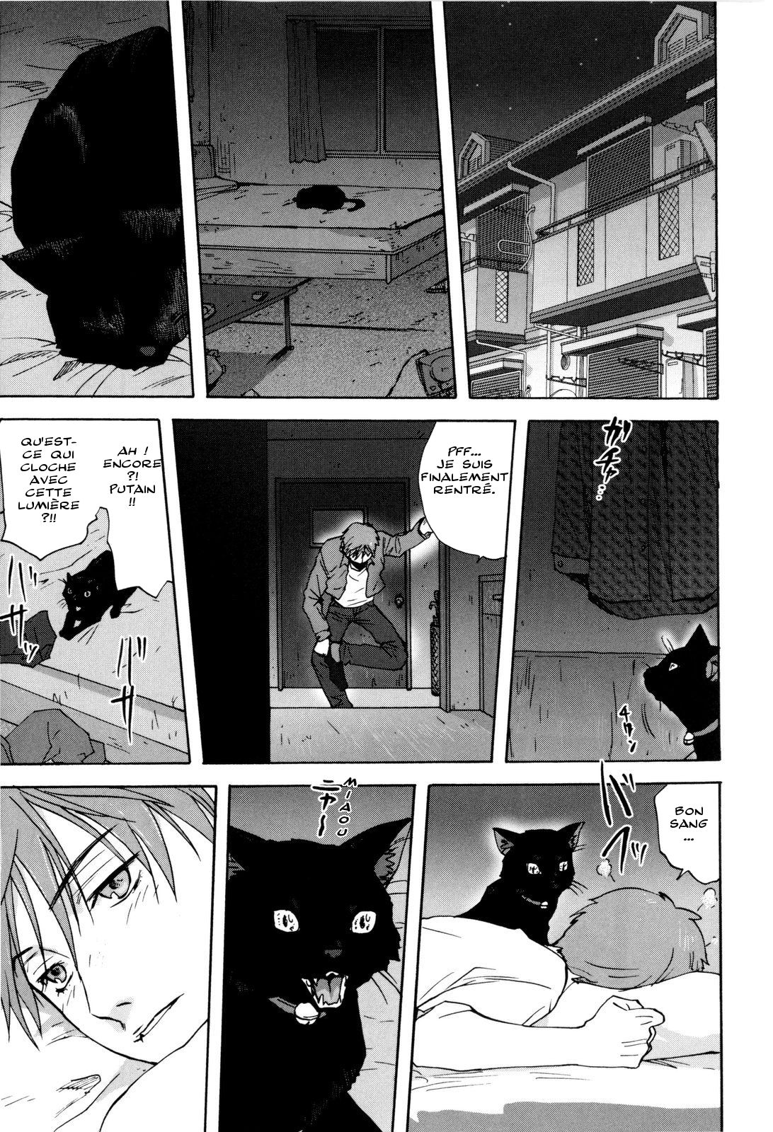 Neko no Ongaeshi | A Cat Repaying Kindness page 1 full