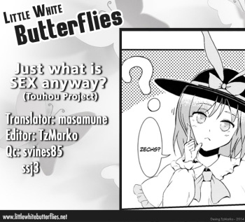 [Itsuki] Just What Is Sex Anyway? (Touhou Project) [English] =Little White Butterflies= cover
