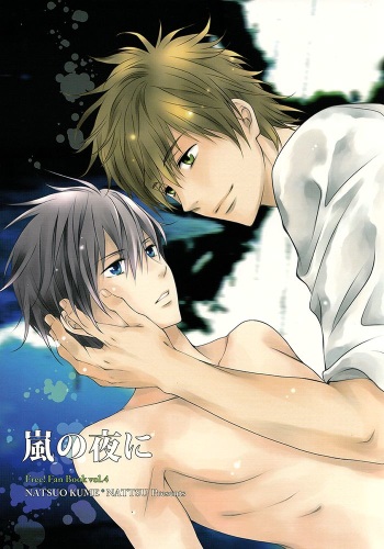 (C85) [NATTSU (Kume Natsuo)] Arashi no Yoru ni | In a stormy night (Free!) [English] cover