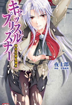 Castle Prisoner Mesushoukou Reizoku Choukyou