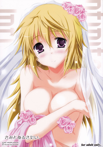 (COMIC1☆6) [SONIC WINTER (Tsukishima Kai)] Kimi to Aru Kitai. | By Your Side (IS <Infinite Stratos>) [English] (Rapid Switch) cover