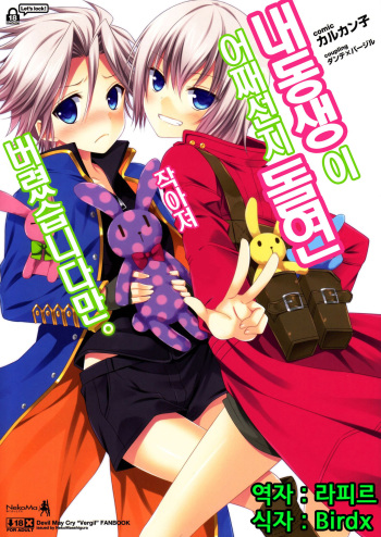 (SPARK8) [Neko Masshigura (Karukanko)] Ore no Otouto mo Naze daka Totsuzen Chicchaku Natte Shimattan daga. (Devil May Cry) [Korean] [Birdx] cover