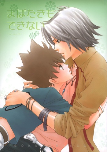 [PLATIUM (Atene)] Mabataki mo Dekinai (Katekyoo Hitman REBORN!) cover