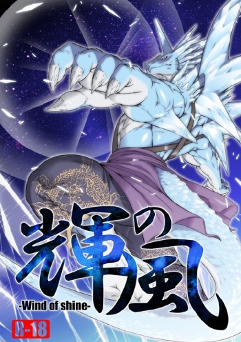 (C80) [Ryu-no-kase (Various)] Kagayaki no Kaze -Wind of shine- (SHINING WIND) cover