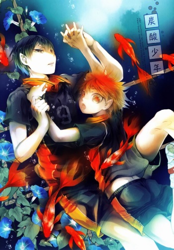 (C84) [Akoyagai to Aumale Ebi (Ooki Bonta)] Tansan Shounen (Haikyuu!!) cover