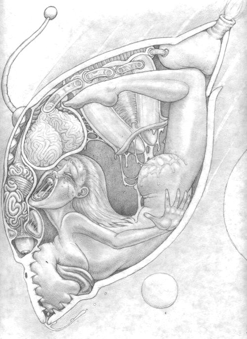 Talon 51 Gallery page 6 full