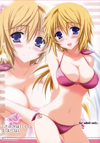 (SC57) [SONIC WINTER (Tsukishima Kai)] Kimi ga Hoshikute Tamaranai. | Can't Stop Loving You (IS <Infinite Stratos>) [English] (Rapid Switch) cover