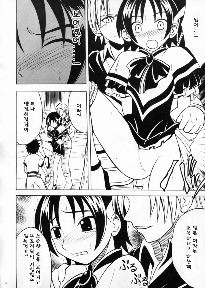 Zero shūsoku page 11 full