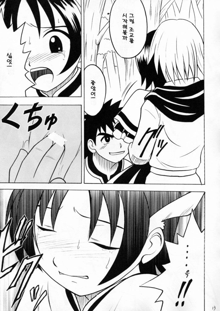 Zero shūsoku page 12 full