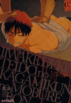 Iiwakedekinai Teido no Kagamikun no Mobure Bon