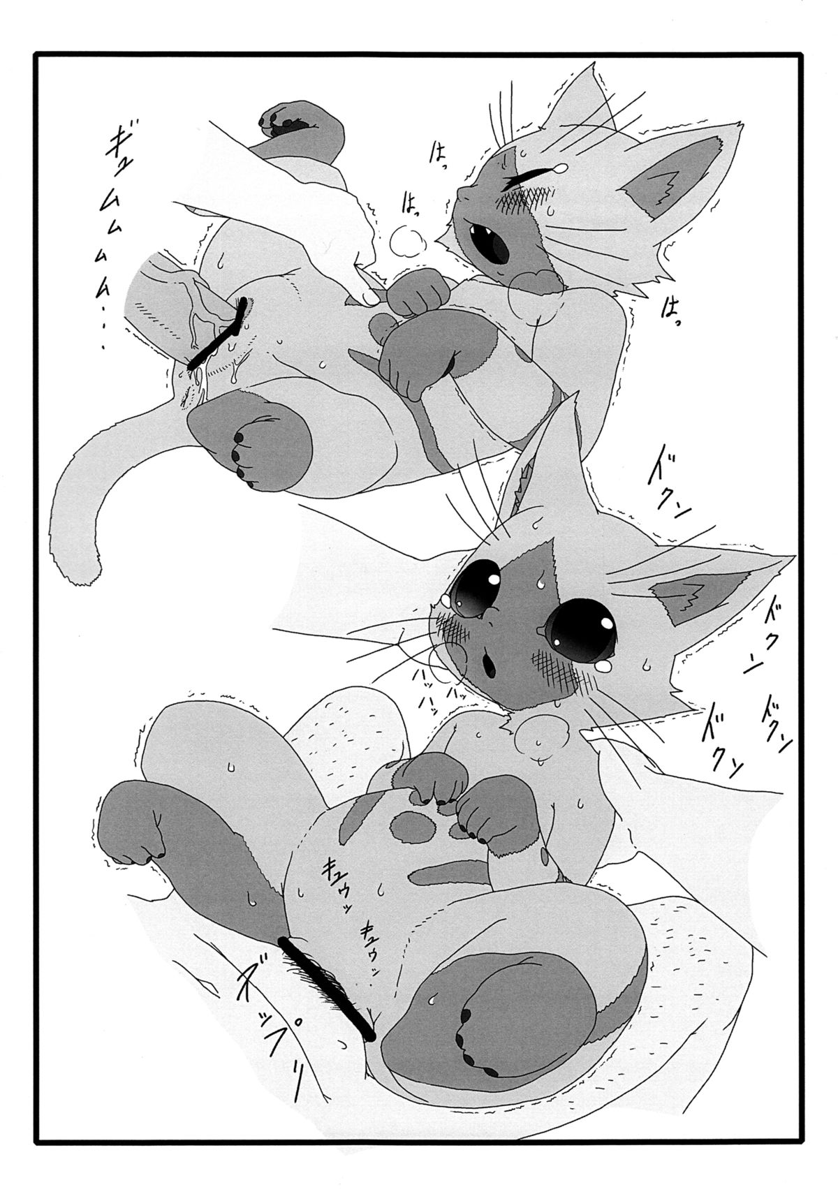 Yoru no Otomo ni Airou o. page 12 full