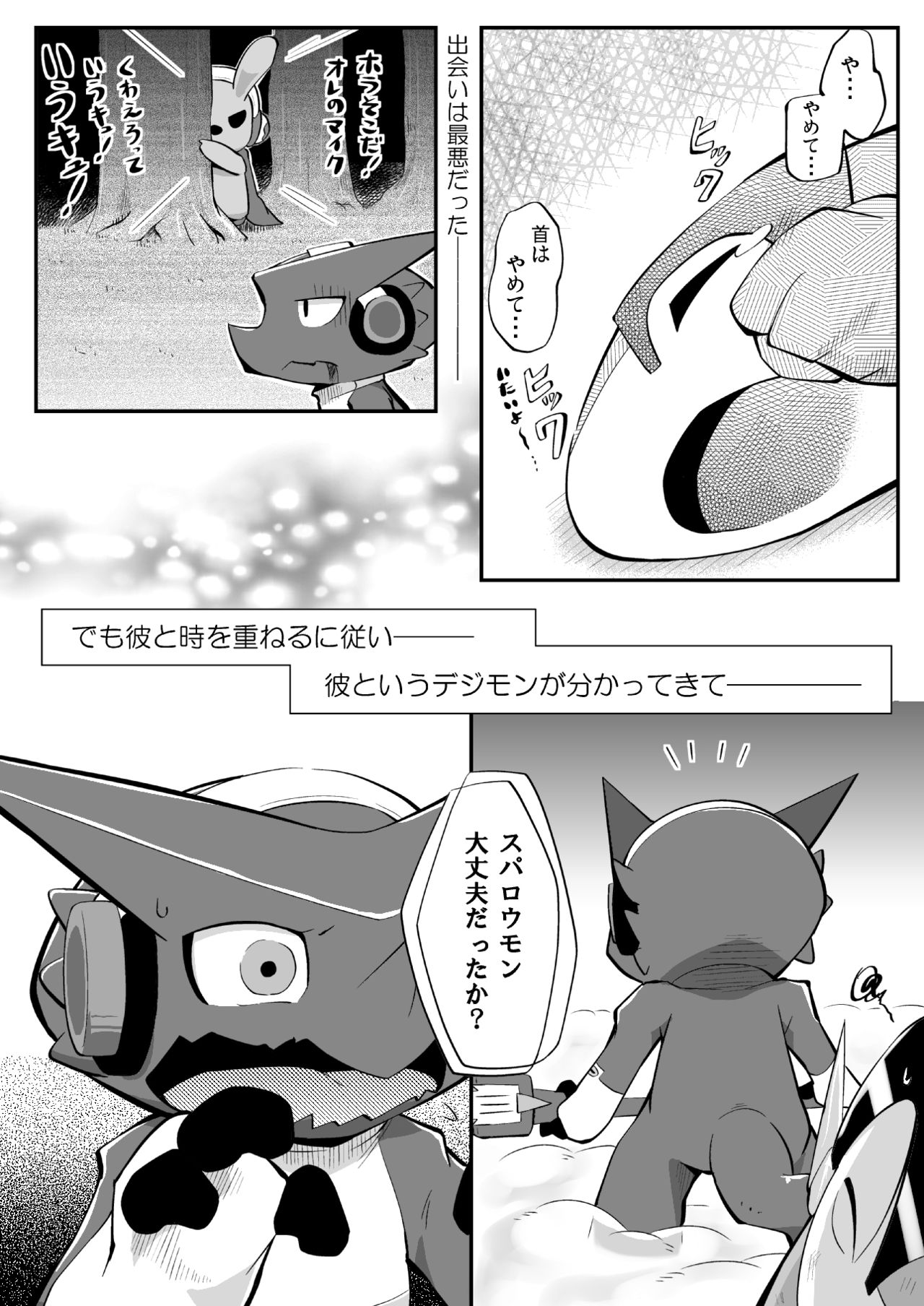 Digi XW Bon page 11 full