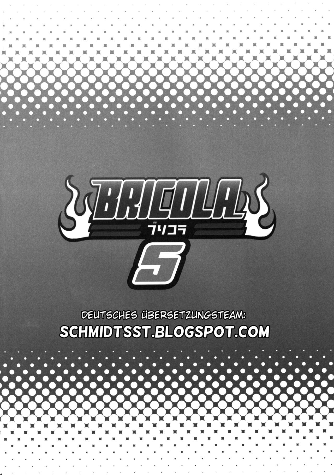 BRICOLA 5 page 3 full