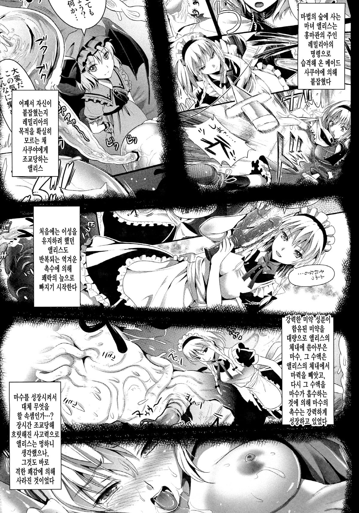 R Shoku 2B -Toraware Alice- page 3 full
