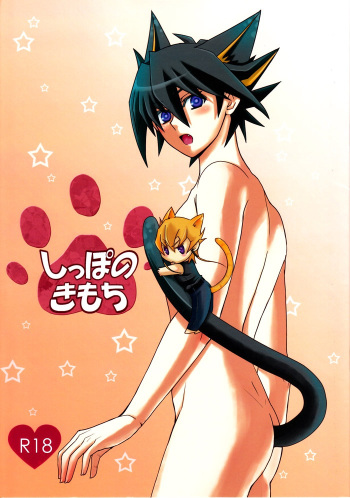 (C78) [Soushinbako @YGO! (Nikami Yukitaka)] Shippo no Kimochi (Yu-Gi-Oh! 5D's) cover