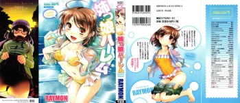 [Raymon] Anekko Harem cover