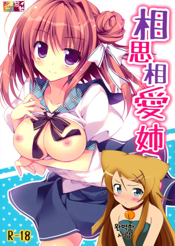 (C84) [Matsurija (Nanaroba Hana)] Soushisouai Ane Ecchi 2 [Korean] [완벽한 사람] cover
