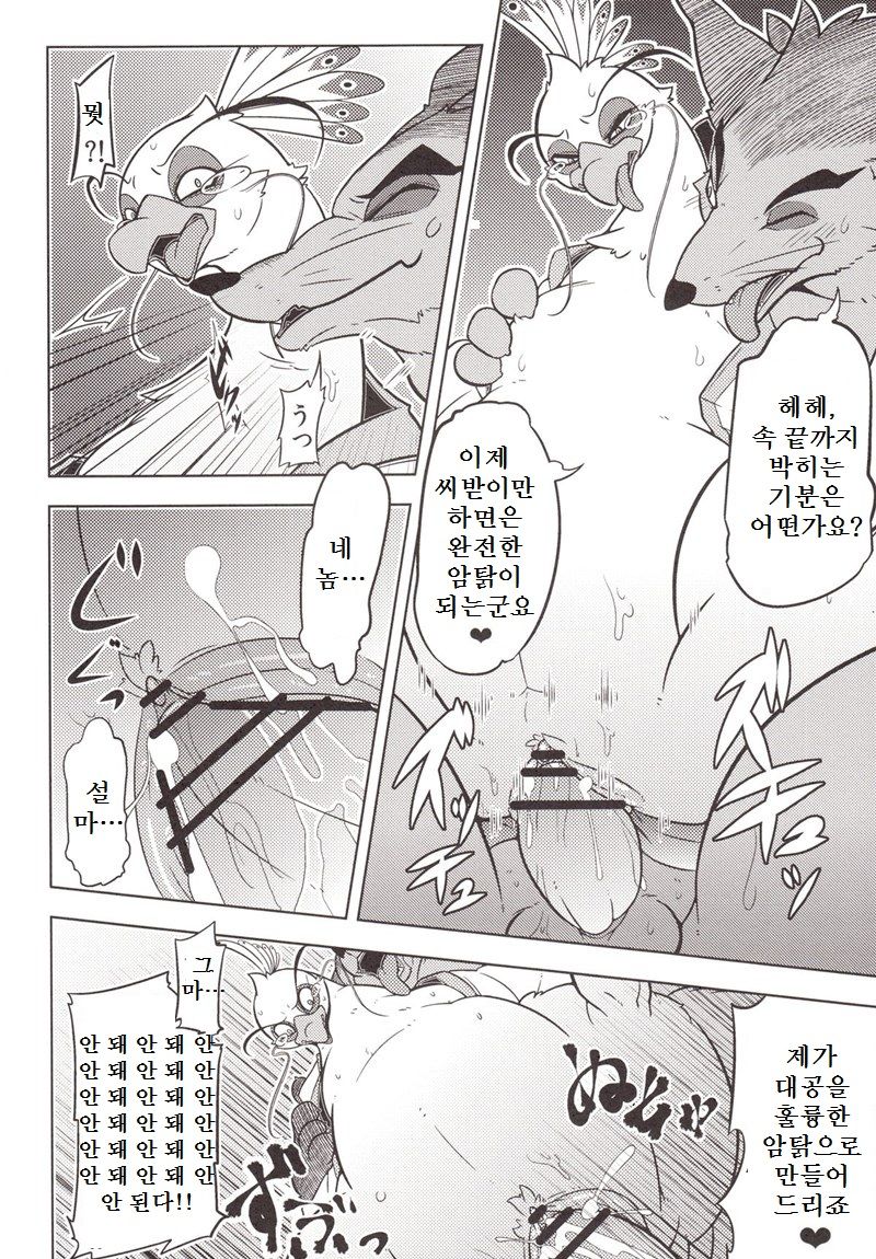 Rougun no Tori page 12 full
