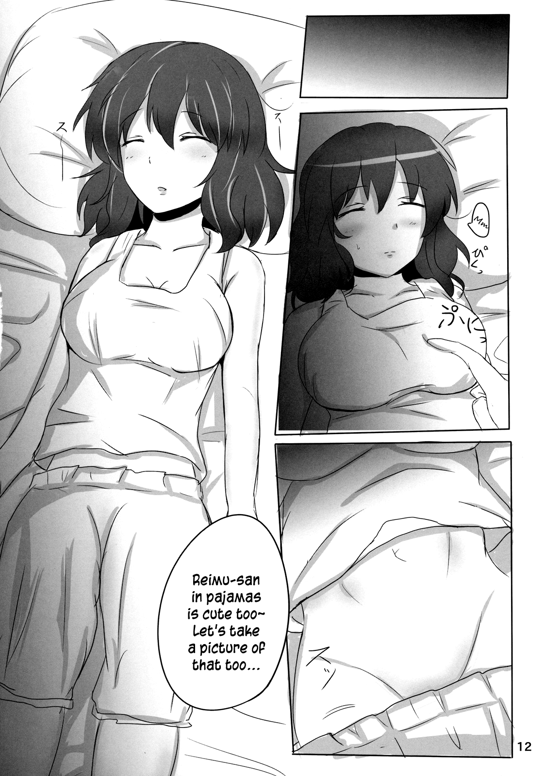 The Record of Reimu-san's Secret Photo-Shoot page 12 full