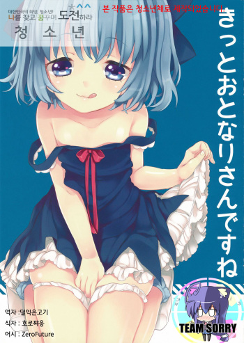 (C83) [Caramel Macchiato (Maki)] Kitto Otonari-san desu ne (Touhou Project) [Korean] [Team Sorry] cover