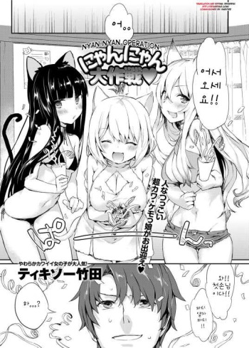 [Tikisou Takeda] Nyan Nyan Dai Sakusen (Canopri Comic 2012-11 Vol. 25) [Korean] [Teamwork] [Digital] cover