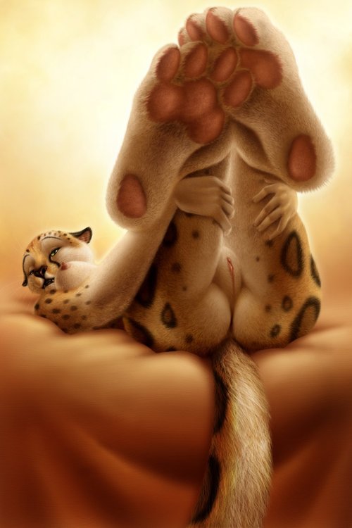 Furry collection n.2 page 8 full