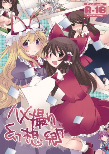 (COMIC1☆7) [Sunset Beach (Hammer)] Hamedori Gensoukyou (Touhou Project) cover