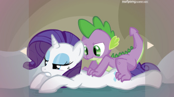 mlp cover