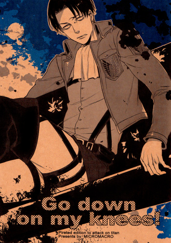 (SUPER22) [MICROMACRO (Yamada Sakurako)] Go Down On My Knees! (Shingeki no Kyojin) [English] [Yuuki Megane Scans] cover