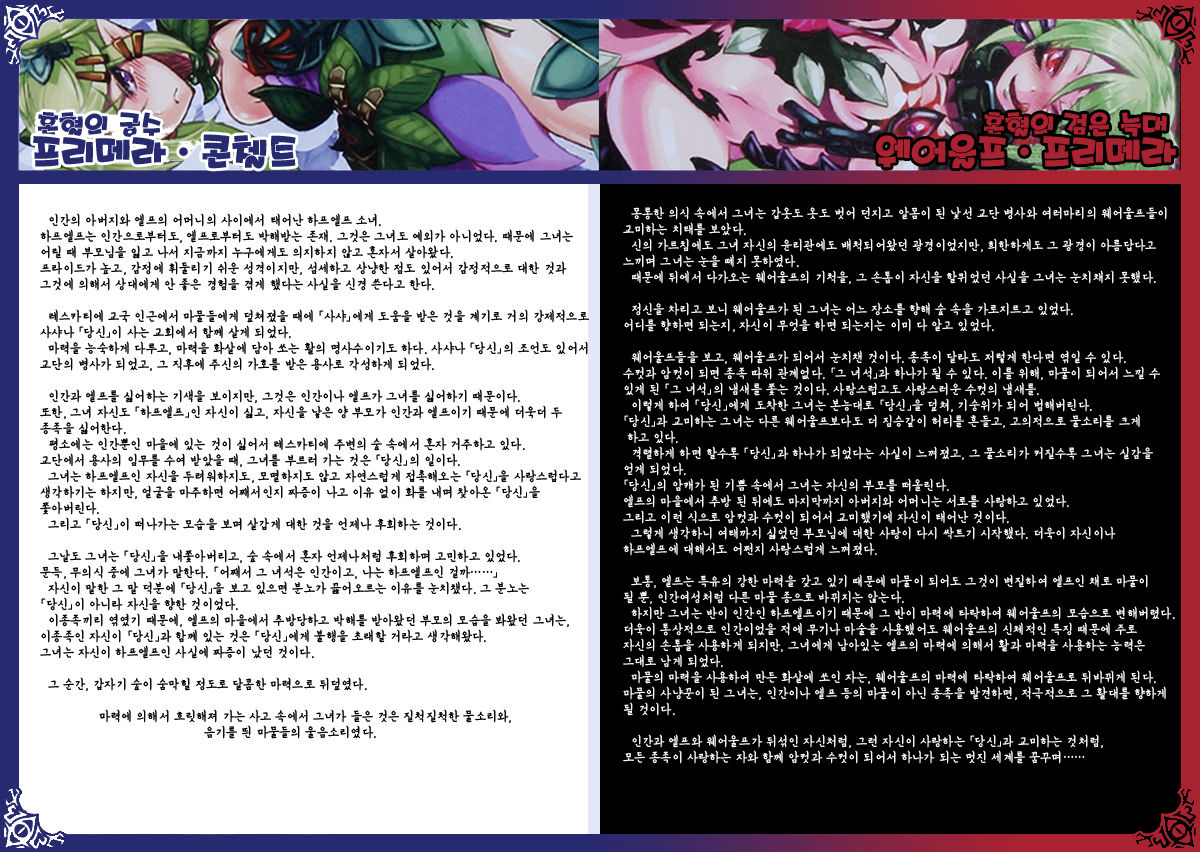 Monster Girl Encyclopedia World Guide I ～Daraku no Shoujo-tachi～ -Fallen Maidens- page 12 full