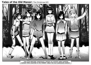 [tiger2drawn] Tales of the Old Mansion - The Christmas Gift cover